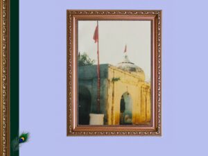 ਗੋਇੰਦਵਾਲ ਸਾਹਿਬ ਦਾ ਇਤਿਹਾਸ | Goindwal Sahib History |