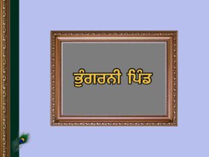 Bhungarni Village History | ਭੁੰਗਰਨੀ ਪਿੰਡ ਦਾ ਇਤਿਹਾਸ 