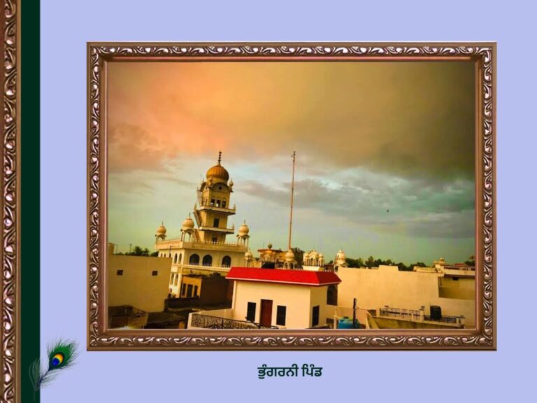 Bhungarni Village History | ਭੁੰਗਰਨੀ ਪਿੰਡ ਦਾ ਇਤਿਹਾਸ