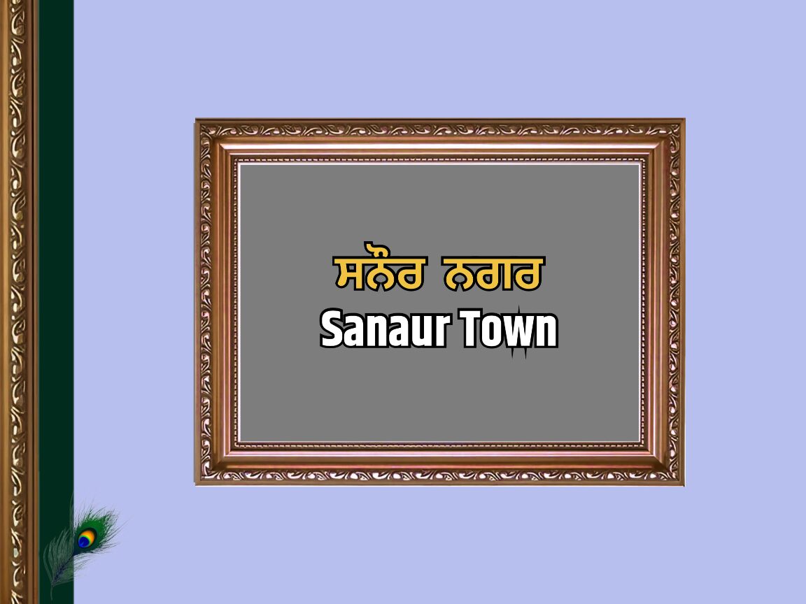 ਸਨੌਰ ਨਗਰ ਦਾ ਇਤਿਹਾਸ | Sanaur Town History