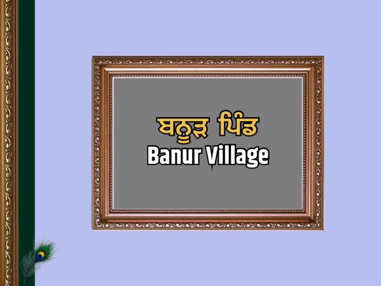 ਬਨੂੜ ਪਿੰਡ ਦਾ ਇਤਿਹਾਸ | Banur Village History