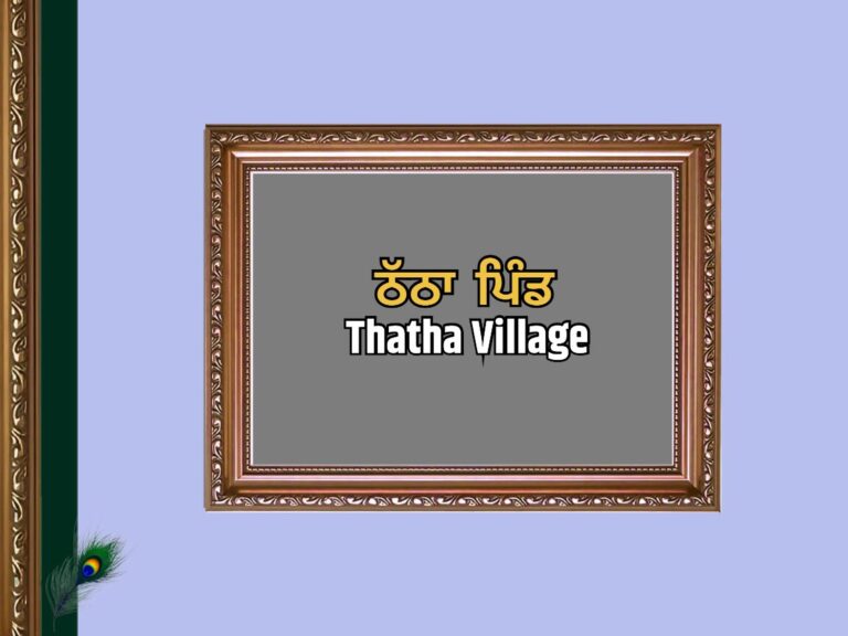 ਠੱਠਾ ਪਿੰਡ ਦਾ ਇਤਿਹਾਸ | Thatha Village History
