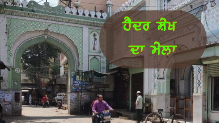 ਹੈਦਰ ਸ਼ੇਖ ਦਾ ਮੇਲਾ